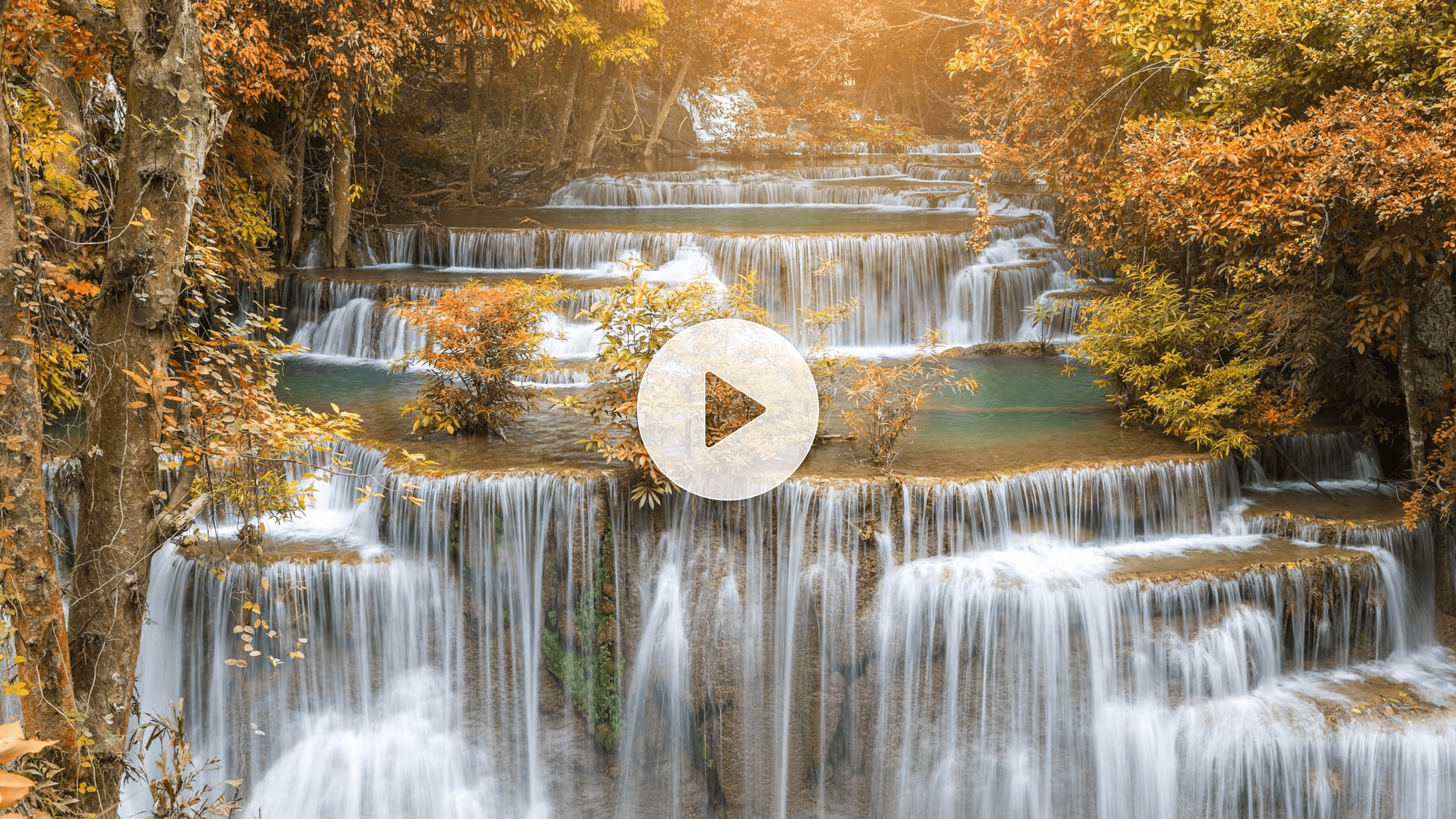 Nature and environment shots that are dynamic and realistic.